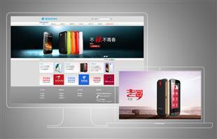 提供深圳网站建设、400电话、深圳网站优化服务-企汇网